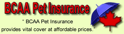Logo of BCAA Animal Insurance, BCAA Pet Insurance Logo